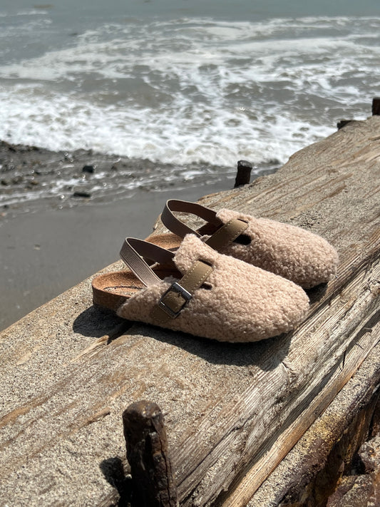 The Winter Clog Side View at Beach